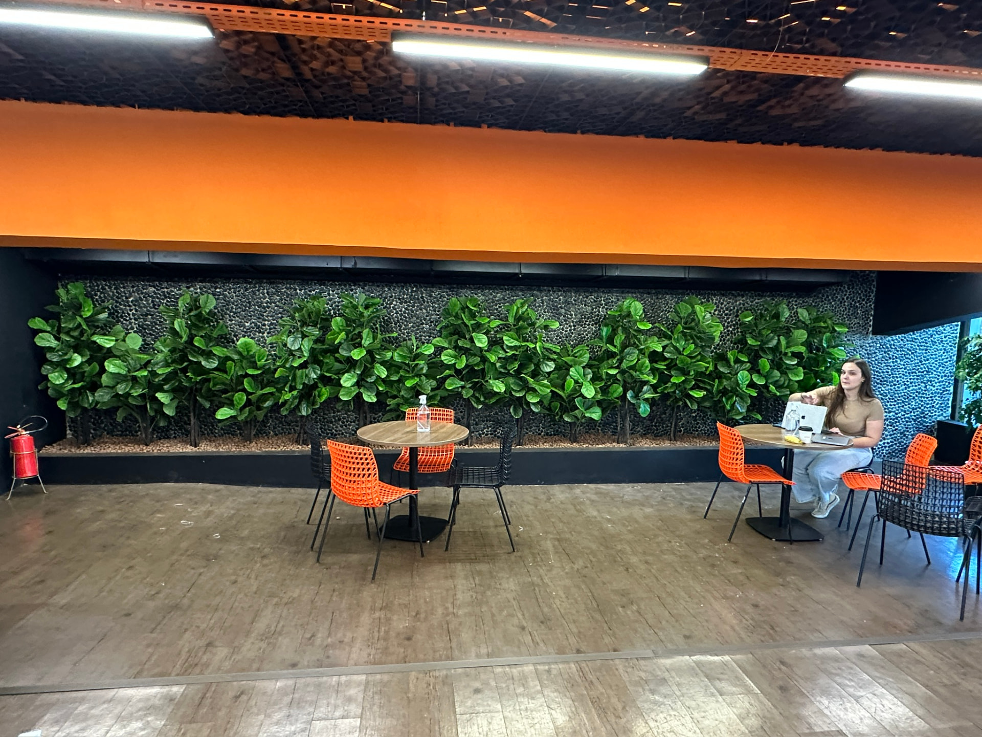 Vista frontal da parede de ficus lyrata na área de convivência do Banco Inter