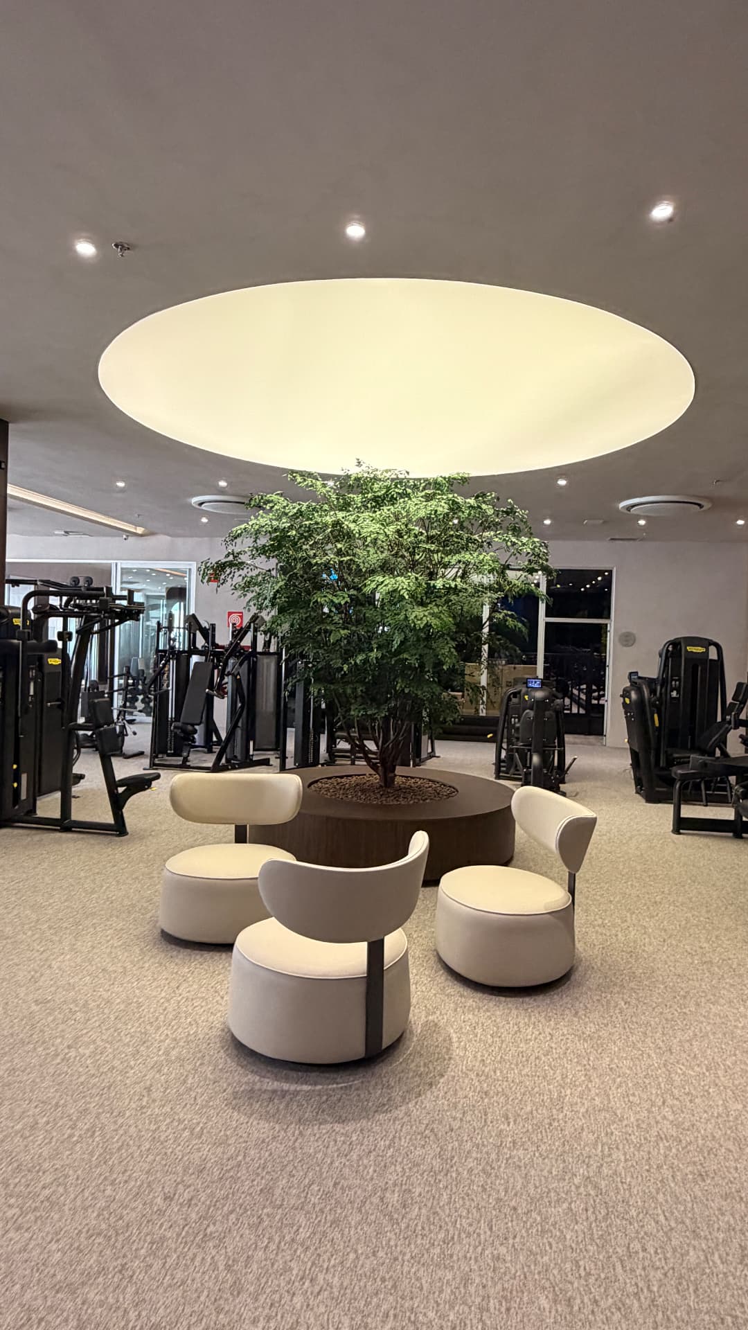 Lounge com poltronas ao redor da jardineira circular com árvore preservada