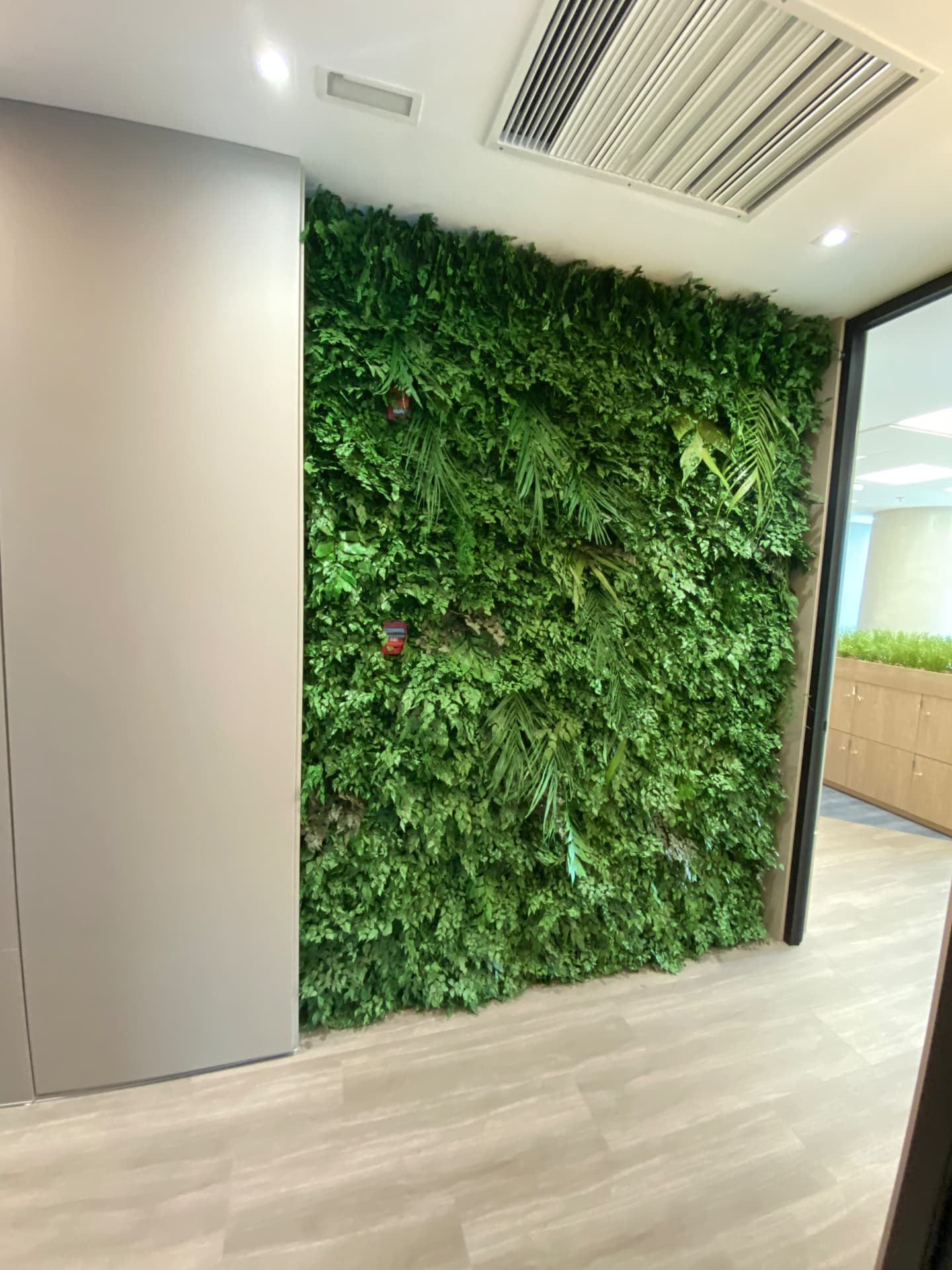 Parede inteira de jardim vertical preservado com mix de folhagens em circulação corporativa