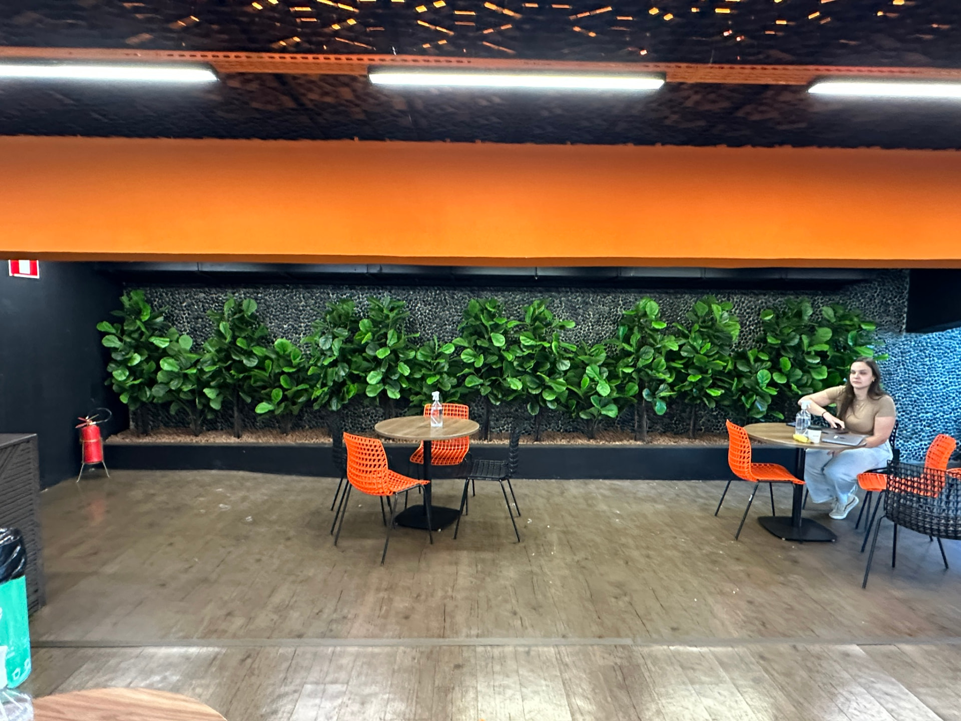 Parede de ficus lyrata sobre parede de seixos na área de mesas do Banco Inter