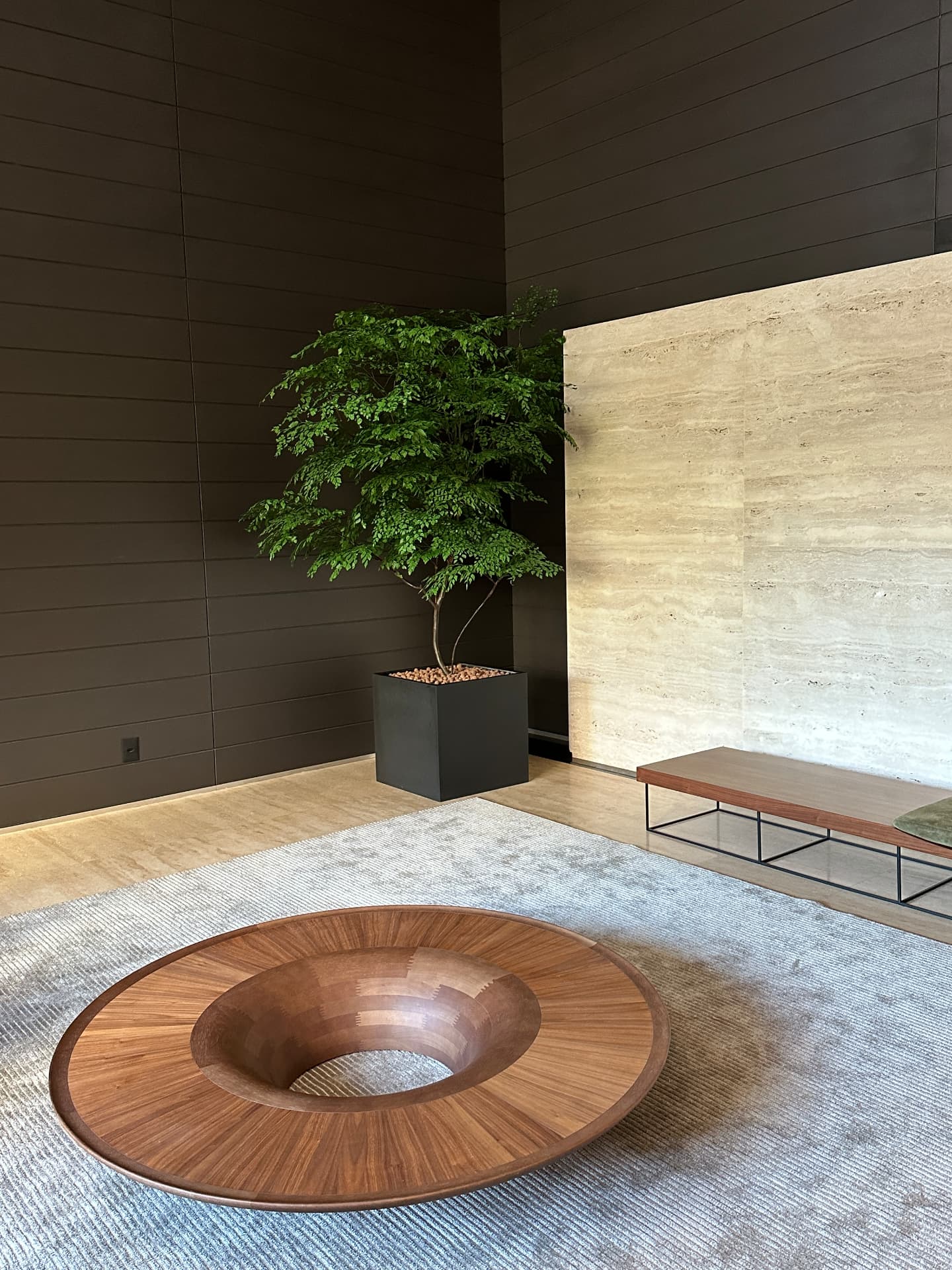 Lobby corporativo · árvore ao lado da parede de travertino