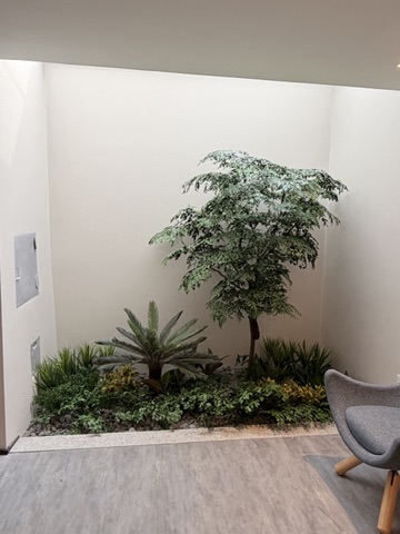 Jardim interno do escritório da Biomig, no bairro Camargos em Belo Horizonte, com árvore de grande porte e mix de folhagens