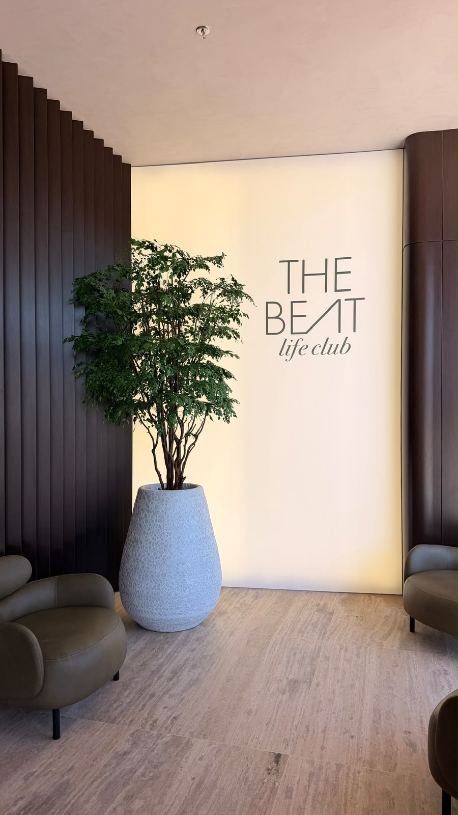 Árvore preservada em vaso texturizado no lobby do The Beat Life Club em Belo Horizonte