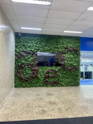 Jardim vertical preservado da AeC em ambiente de concreto aparente, visto em perspectiva