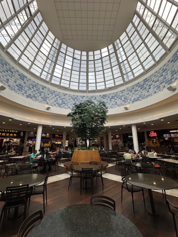 Praça de alimentação do Shopping Del Rey com a árvore preservada ao centro e o domo envidraçado acima