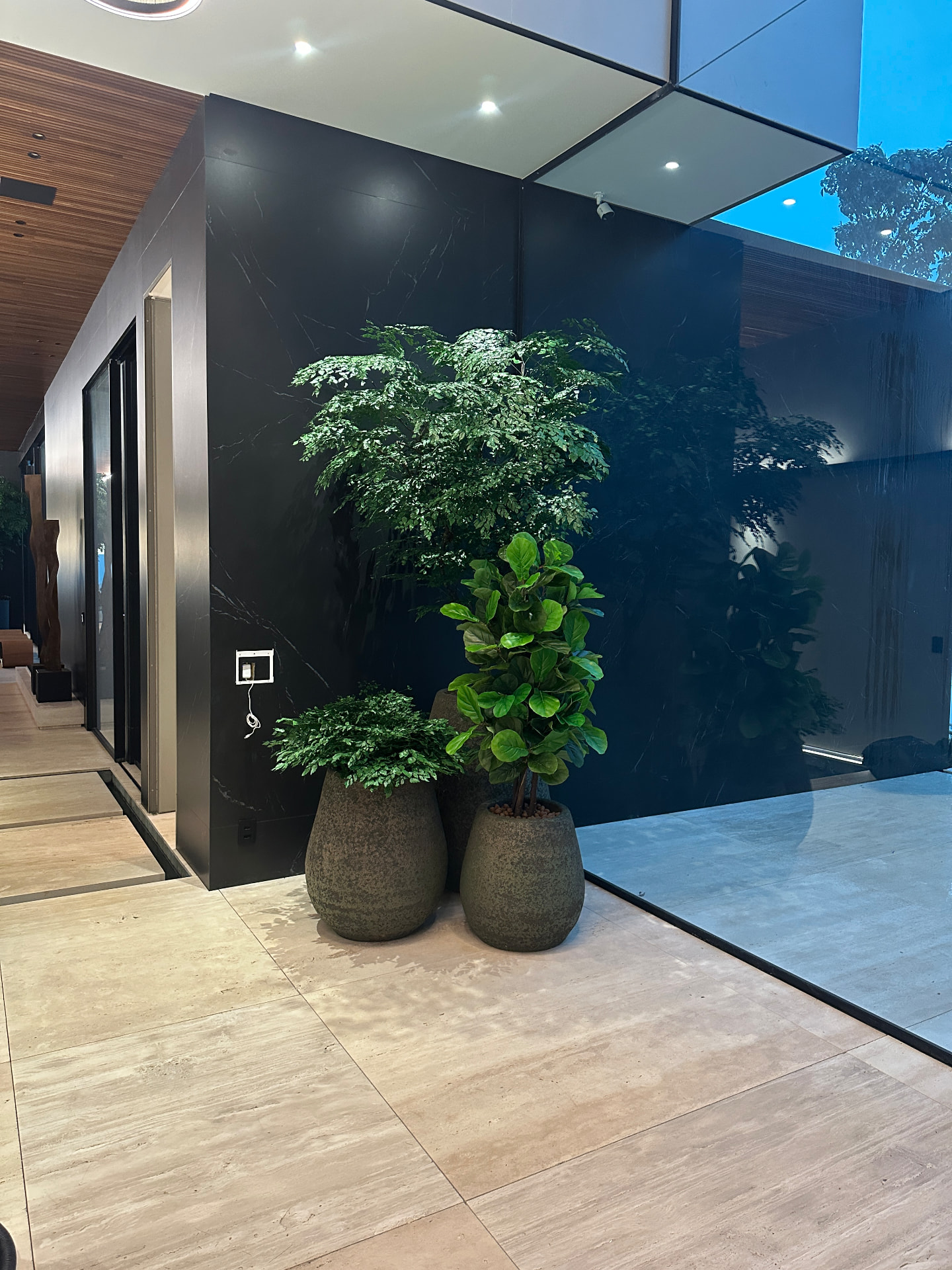 Lobby · composição de árvore e ficus lyrata