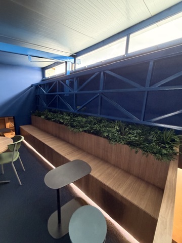 Arquibancada de madeira do lounge da Biomig com jardineira linear iluminada e parede azul