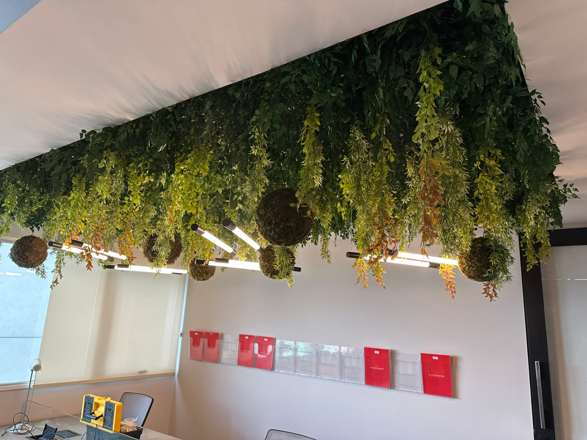 Teto de plantas preservadas com bolas de musgo sobre mesa de reunião da ML2 Company