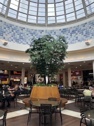 Vista ampla da árvore preservada do Shopping Del Rey com as mesas da praça de alimentação em uso