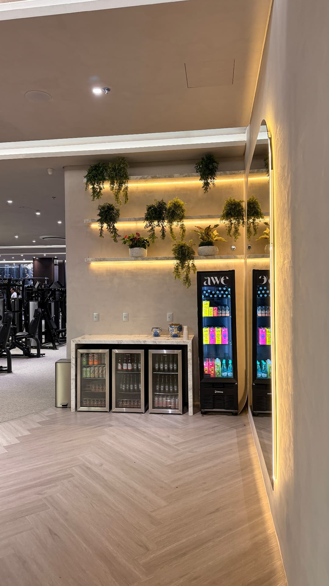 Prateleiras iluminadas com plantas pendentes no Healthy Bar do The Beat Life Club