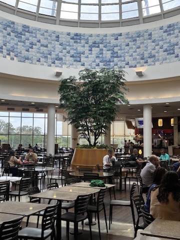 Árvore preservada do Shopping Del Rey vista da área de mesas, com o domo azul ao fundo