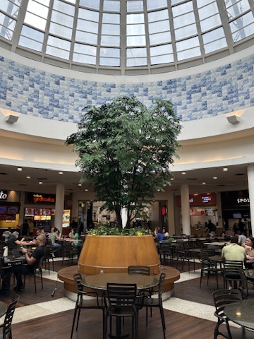 Árvore preservada de 4 metros de altura e 3,5 metros de diâmetro executada pela Casa do Jardim na praça de alimentação do Shopping Del Rey, em Belo Horizonte
