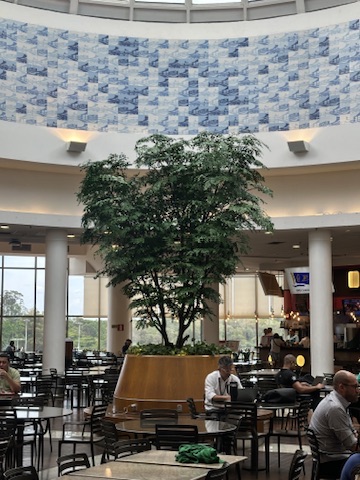 Copa da árvore preservada do Shopping Del Rey aberta sob a claraboia da praça de alimentação
