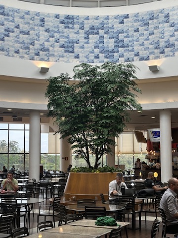 Vista frontal da árvore preservada do Shopping Del Rey entre as colunas da praça de alimentação