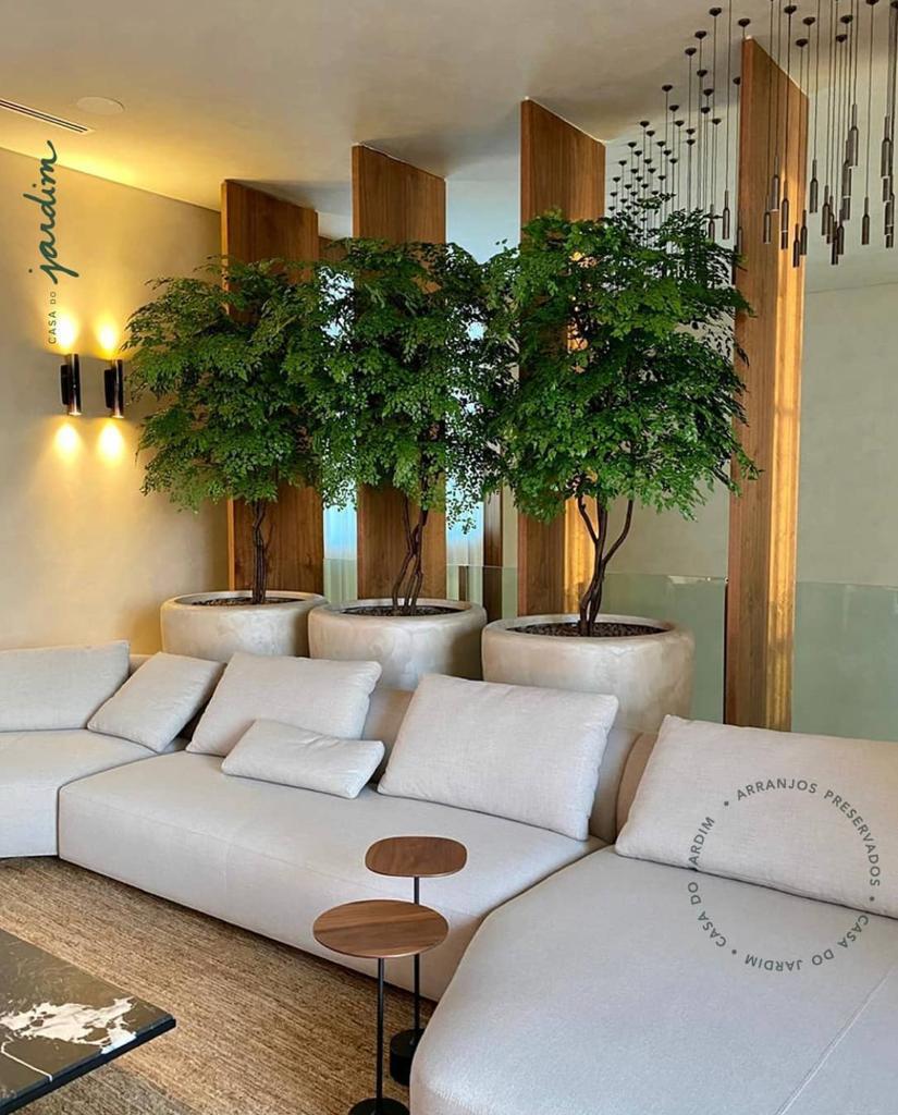 Três árvores preservadas em vasos claros compondo lounge de residência de alto padrão em Belo Horizonte