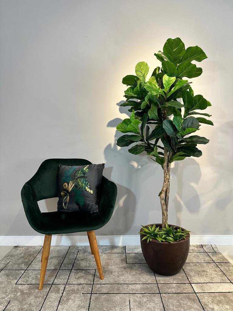 Ambiente residencial · Ficus Lyrata permanente de tronco real, 1,80m