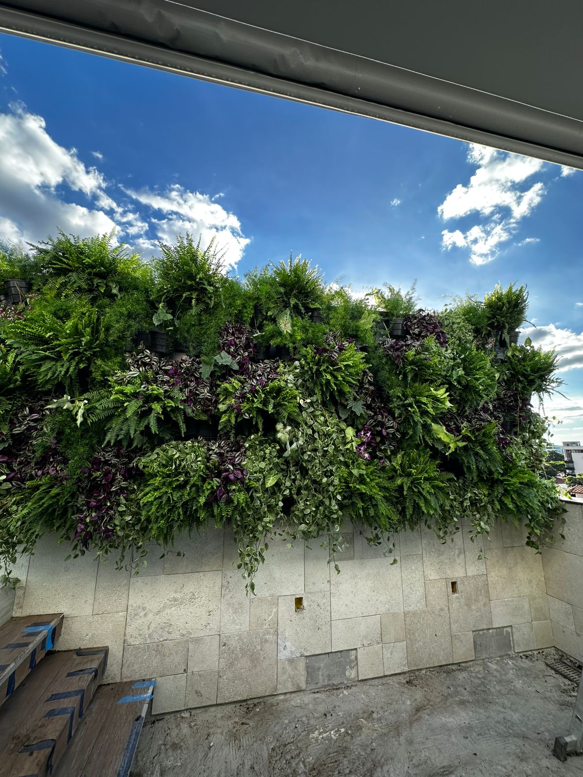 Jardim vertical natural com samambaias e plantas pendentes em varanda com vista aberta