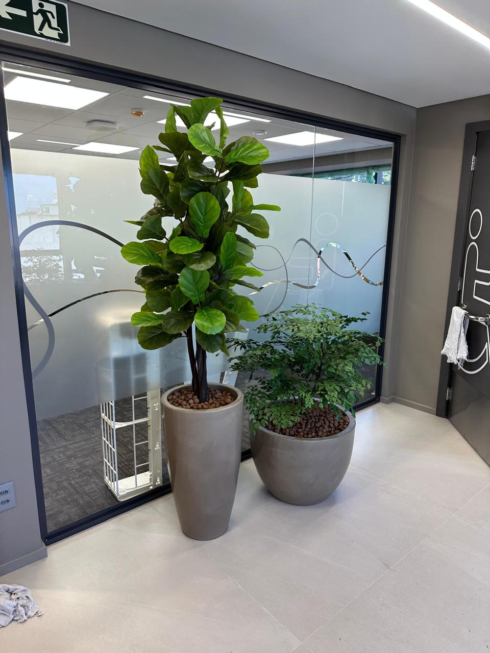 Recepção de escritório · Ficus Lyrata permanente em vaso alto cimentício
