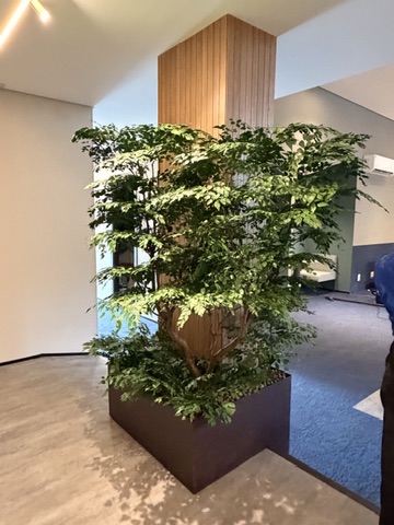 Árvore de grande porte em cachepô metálico junto a painel ripado de madeira no escritório da Biomig
