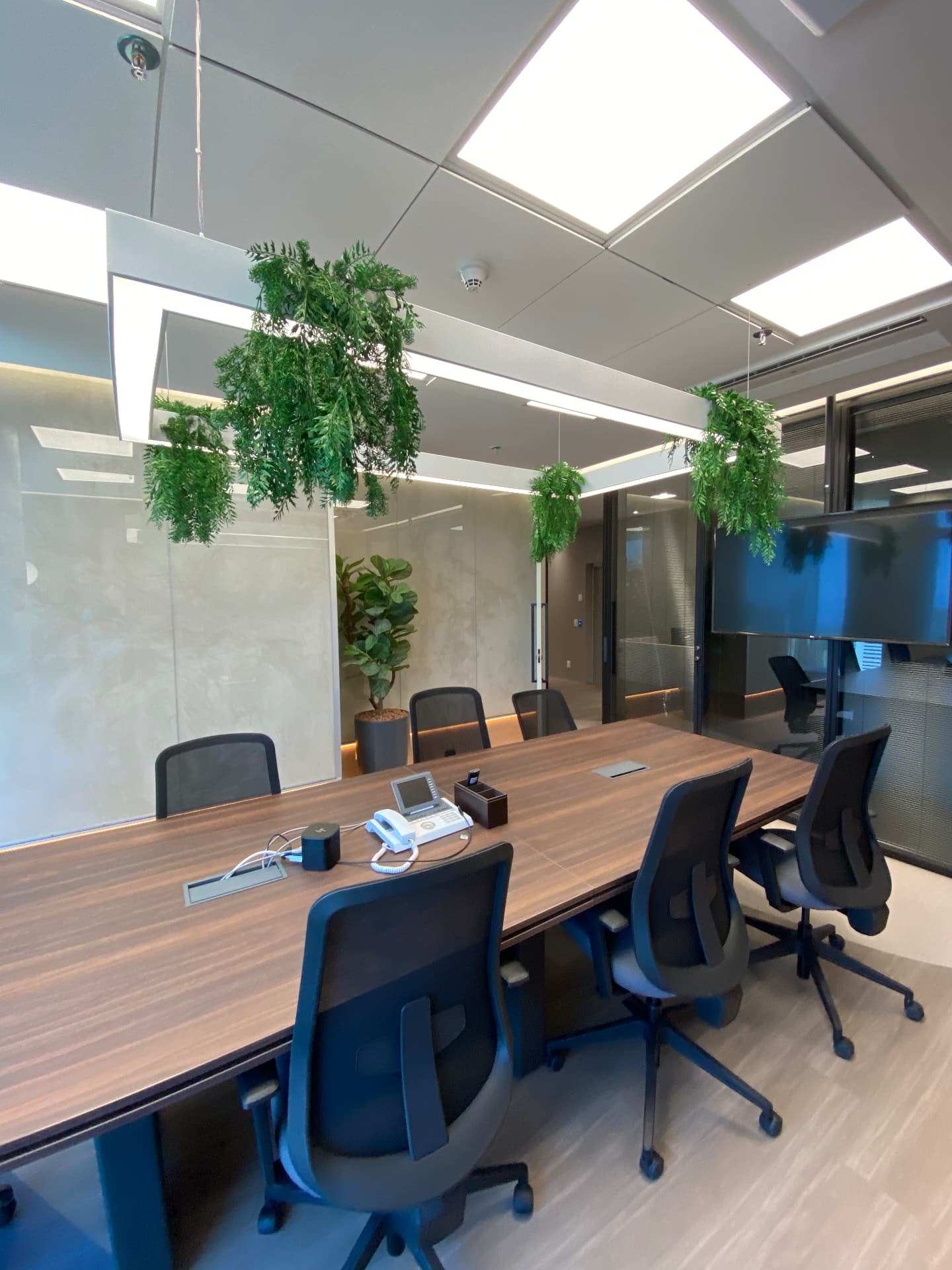 Sala de reunião com plantas pendentes suspensas na luminária e ficus lyrata ao fundo