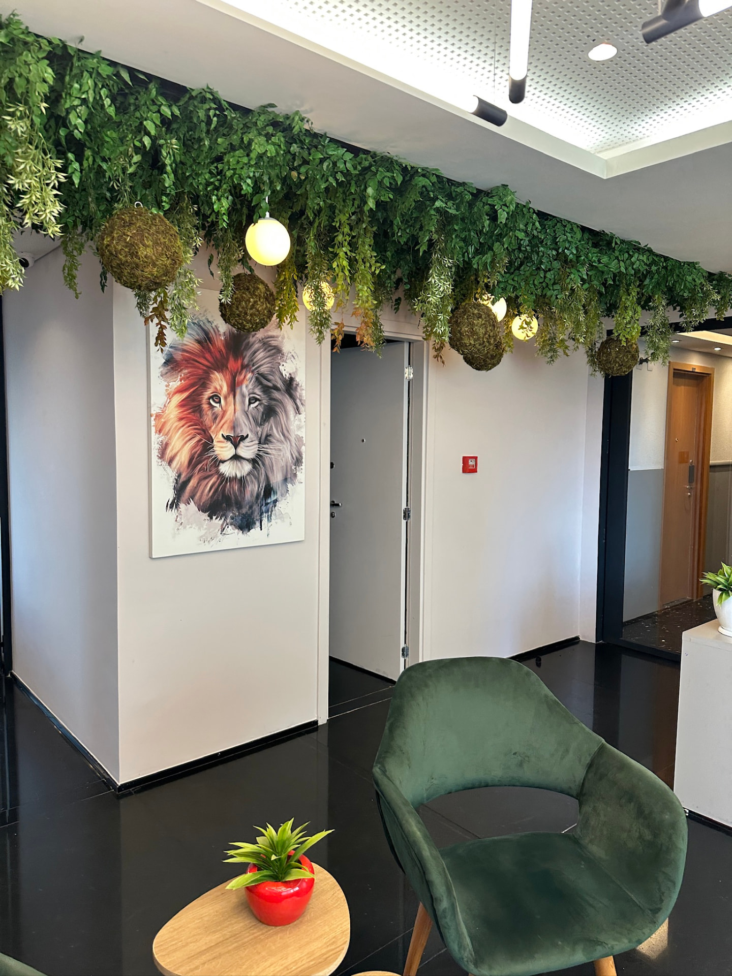 Recepção da ML2 Company com poltrona verde, quadro de leão e bolas de musgo pendentes