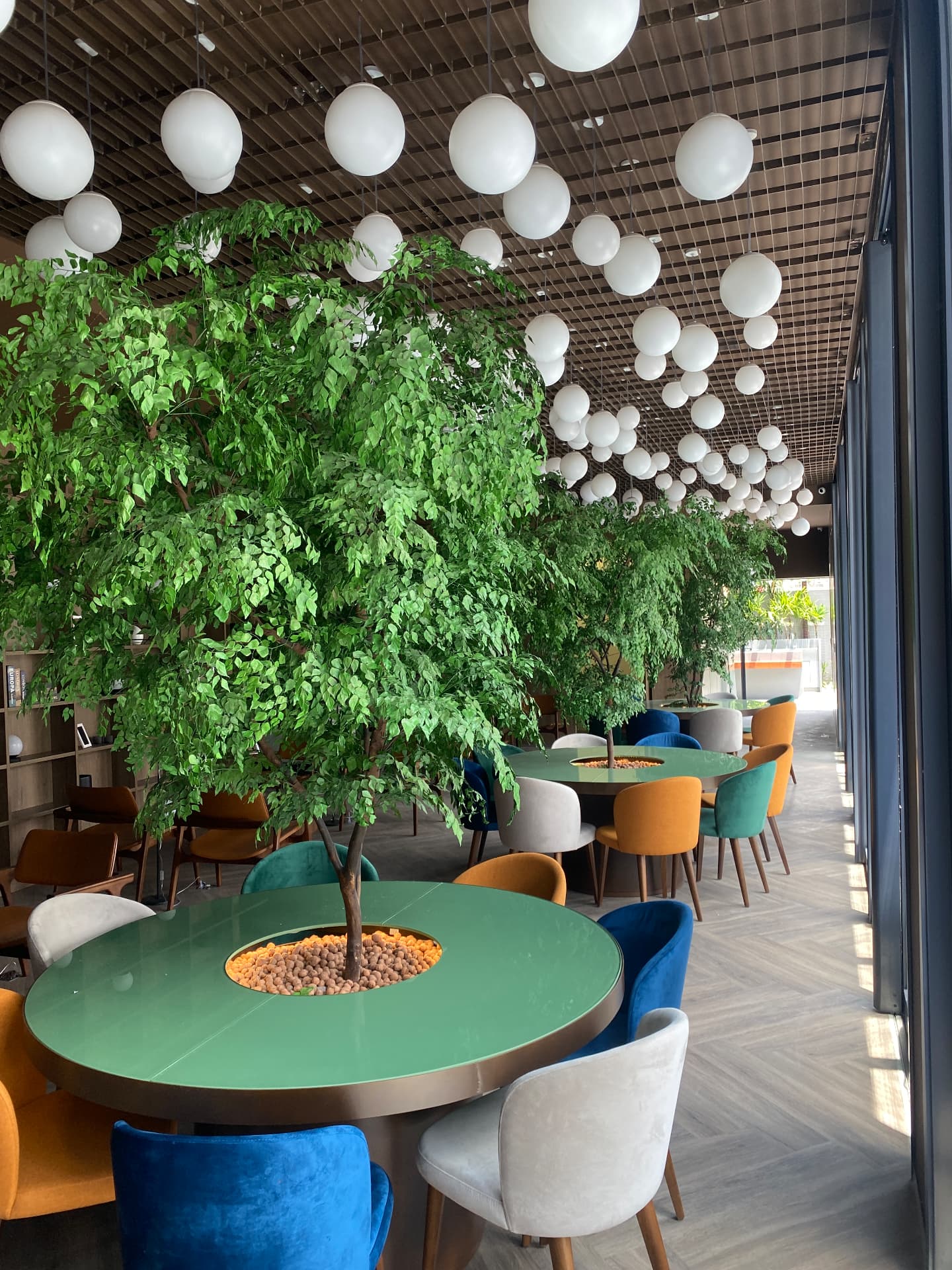 Café · árvores no centro das mesas