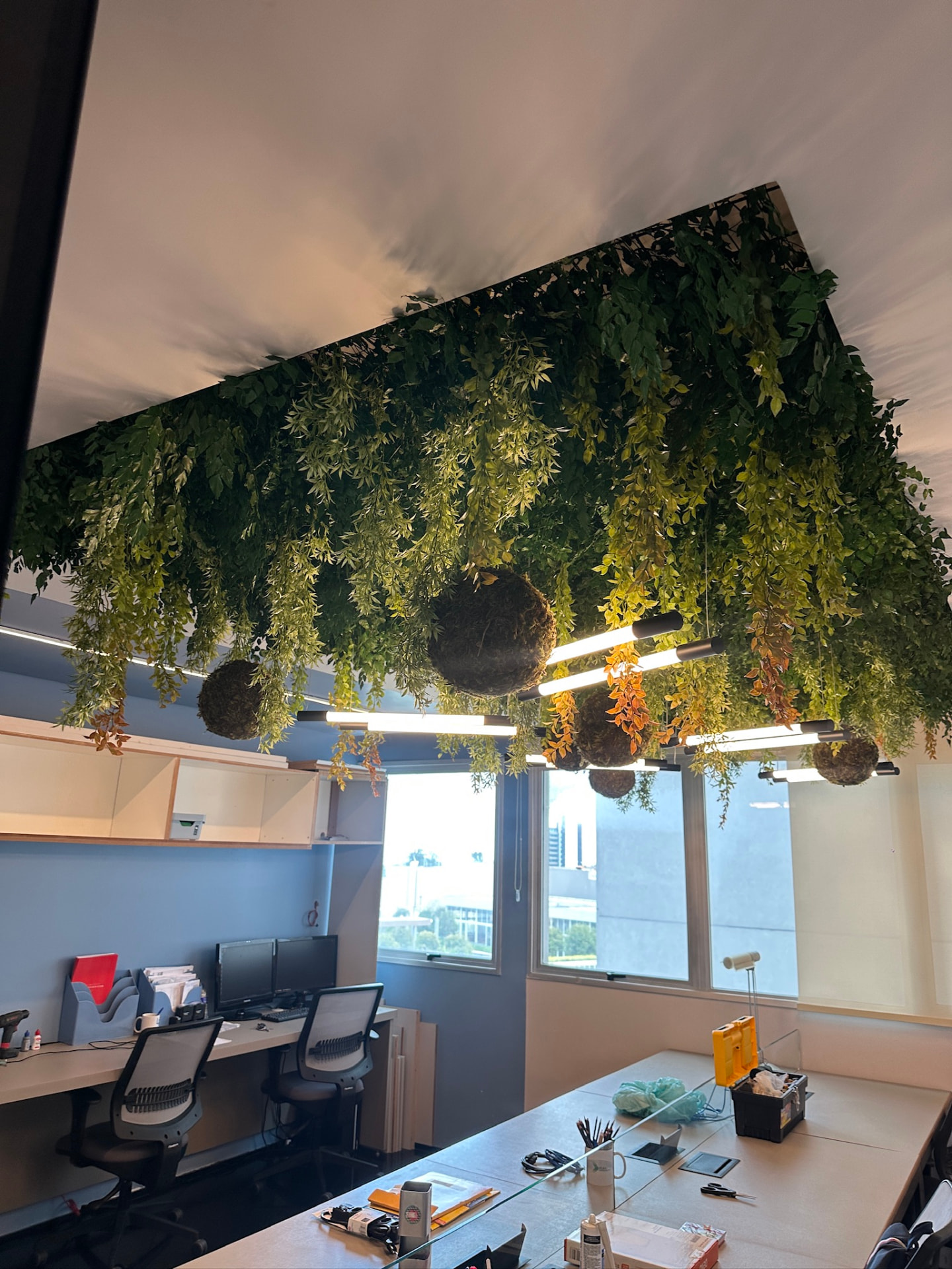 Estações de trabalho da ML2 Company sob teto vegetal preservado com iluminação linear