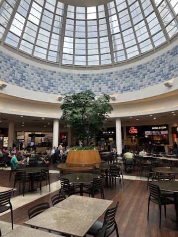 Outro ângulo da árvore preservada do Shopping Del Rey, com as lojas da praça ao fundo